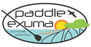 PaddleExuma